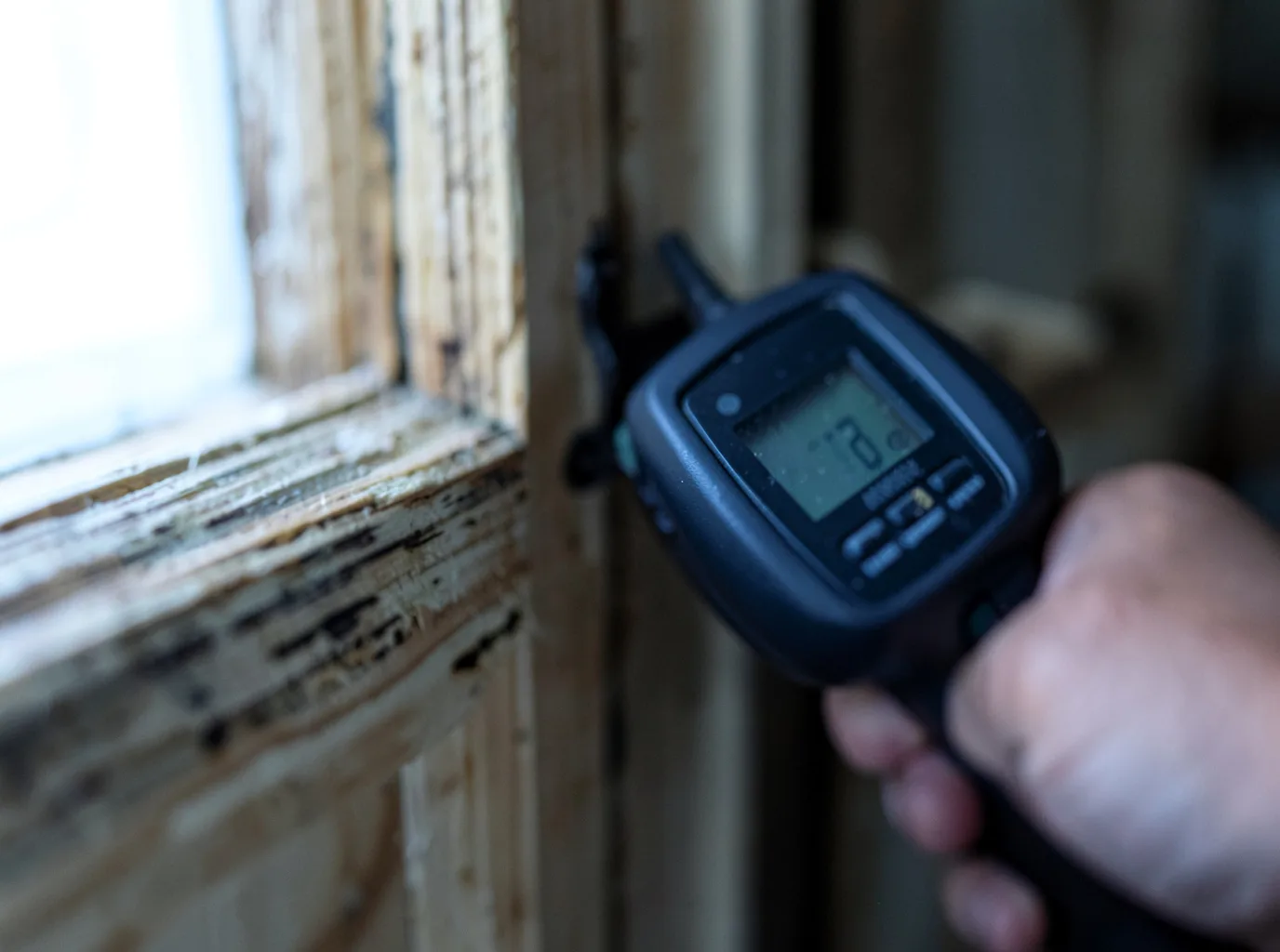 Moisture Inspection And Documentation in Lakeland, MN